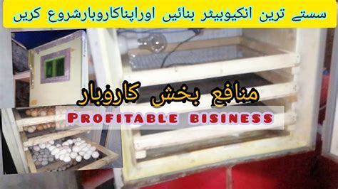 Homemade Incubators Best Hatching Incubator Machine Egg Hatching Incubator Youtube