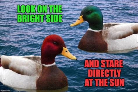 Good Malicious Advice Ducks Imgflip