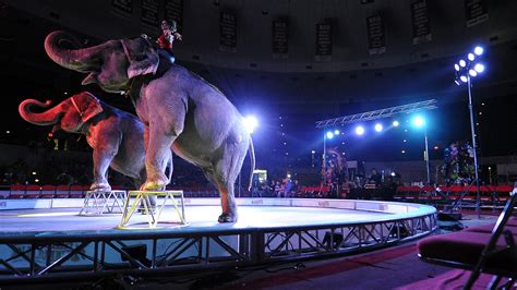 Worst Circus Visits Greenville For Centers Last Show Using Animals