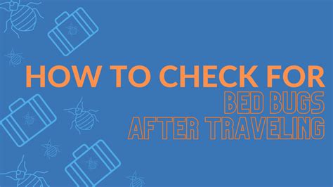 How To Check For Bed Bugs After Traveling Go2 Pros