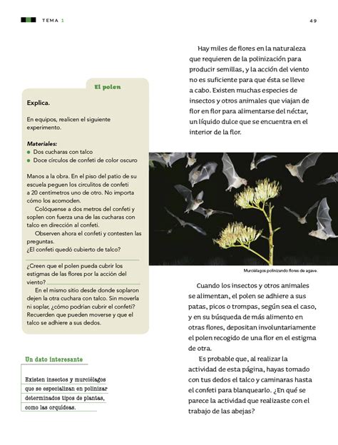 Libro de ciencias naturales 3 grado 2021; Ciencias Naturales cuarto grado 2017-2018 - Página 49 - Libros de Texto Online
