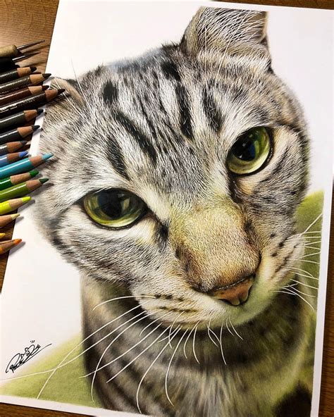 Feline Faces Get A Close Up In Amazing Hyperrealistic Drawings