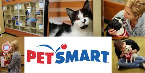 Adoptable Dogs At Petsmart Saturday March 8 The Humane Society Of