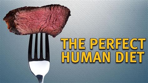 the perfect human diet wo streamen streampicker