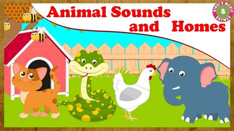 Animals Sounds And Homes Nursery Rhymes Children Songs Educational