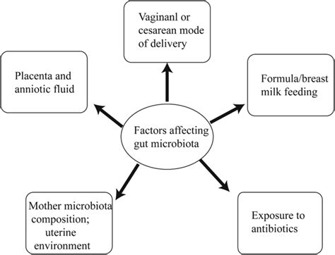 Factors Affecting Composition Of The Gut Microbiota During Development