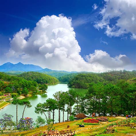 Dalat The City Of Love And Flower Vietnam Information Discover