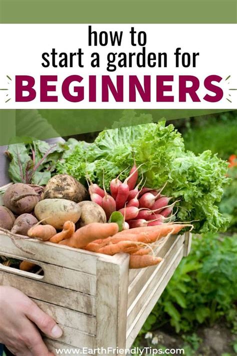 How To Start A Garden For Beginners Earth Friendly Tips Starting A