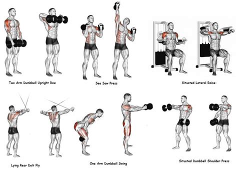 Dumbbell Shoulder Exercises Ph