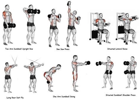 dumbbell shoulder exercises ph