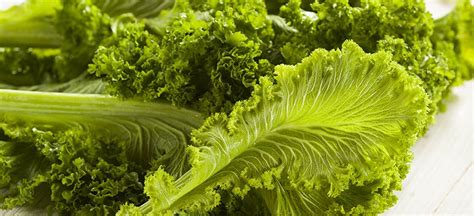 Mustard Greens Nutrition Health Benefits And Recipes Dr Axe