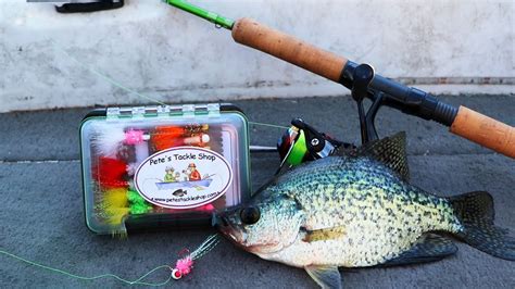 Three Colors You Need To Catch Crappie Anywhere Best Colors For