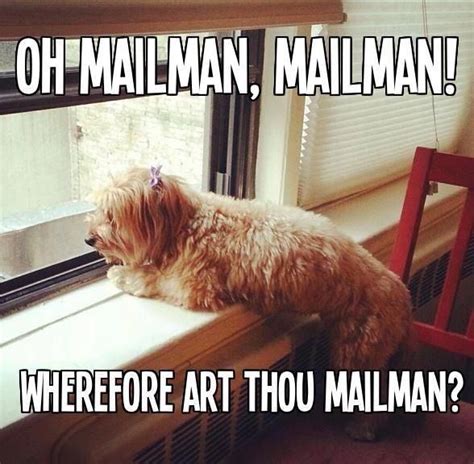 61 Best Mailman Humor Images On Pinterest Post Office