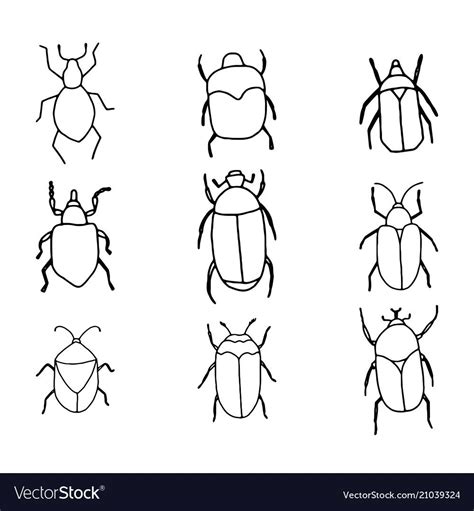 Cute Hand Drawn Vector Bugs Outlines For Coloring Book Or Scrapbooking