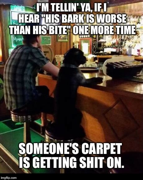This Is Why I Never Take My Dog Out To The Pub Imgflip