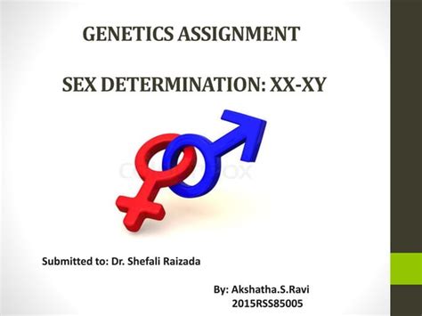 genetics assignment explores xx xy sex determination ppt