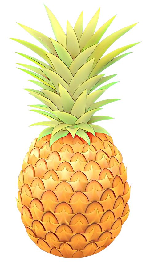 Pineapple Png Clip Art Shopkins Pineapple Fruit Coloring Book
