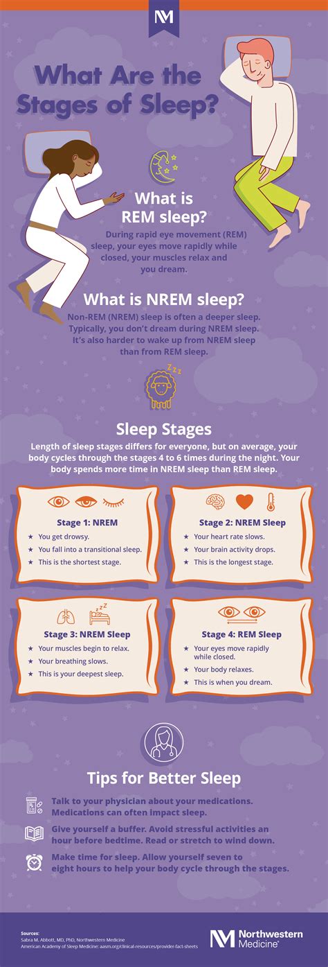 What Are The Stages Of Sleep Infographic Northwestern Medicine