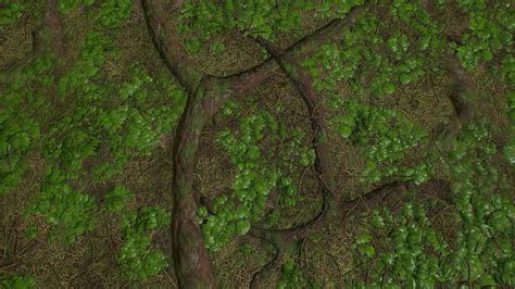 3d Model Pbr Tileable Detailed Forest Ground Textures