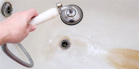 How To Unclog A Shower Drain With Standing Water Best Hacks