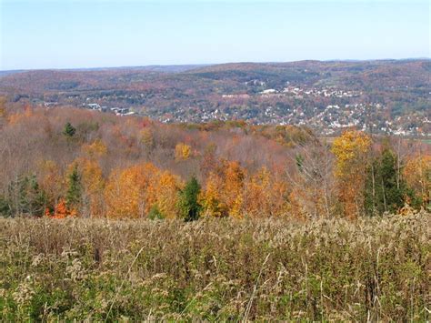 Oneonta Ny Looking Over Oneonta And The Susquehanna Valley From
