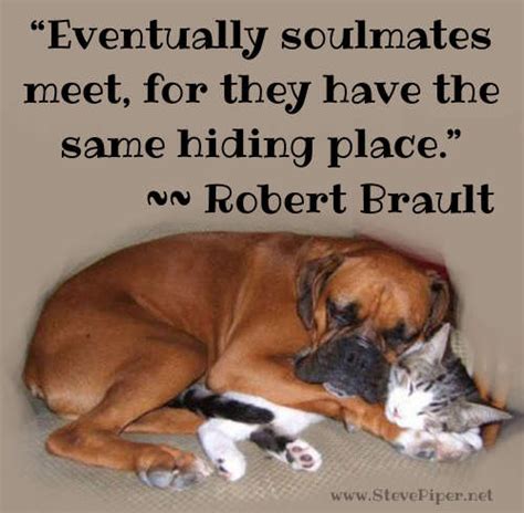 Eventually Soul Mates Meet For They Have The Same Hiding