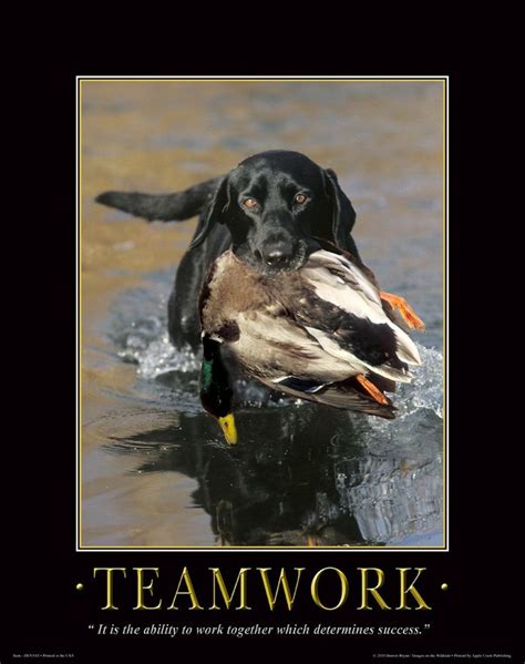 Quotes About Hunting Dogs Quotesgram