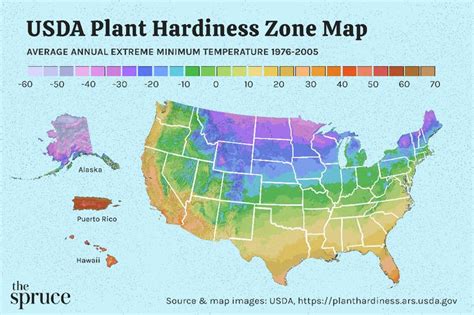 Find Your Usda Plant Hardiness Zone With These State Maps In 2022