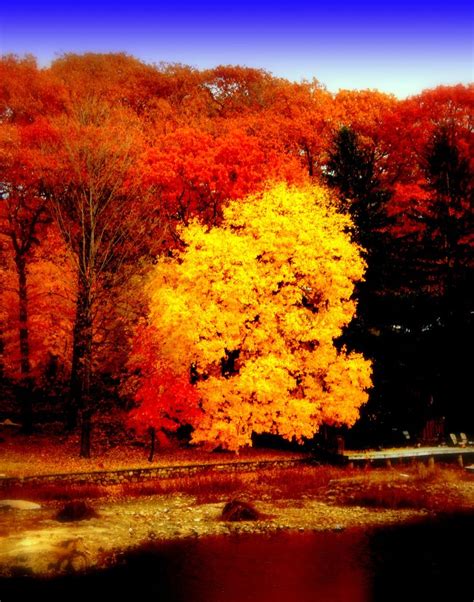 Echo Lake West Milford Nj Fall Foliage Still Around In W Flickr