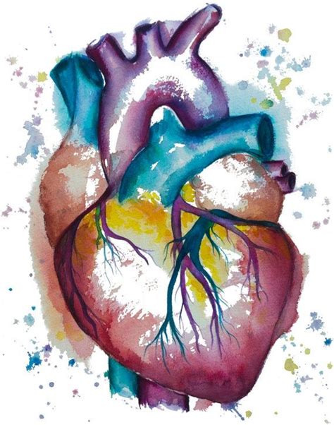 Heart Watercolor Painting Watercolor Print Heart Print Cardiac Art