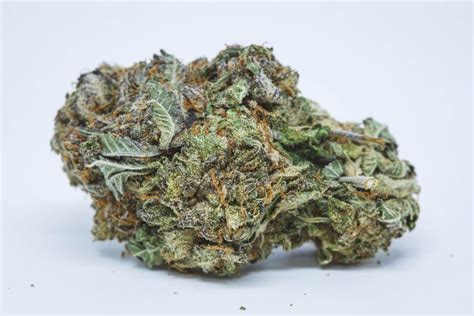 Purple Kush Weed Strain Feb 2019 Buying Guide And Reviews Production