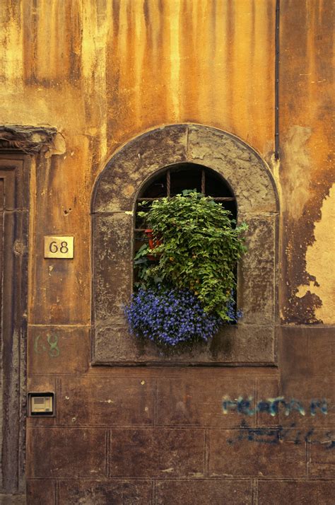 Free Images Wood Texture Window Color Italy Tuscany