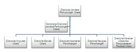 Struktur Organisasi Direktorat Jenderal Perhubungan Udara Kitorang Samua Basudara
