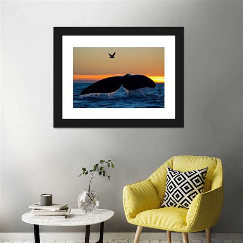 Whale Tail Sighting Wall Art Photography