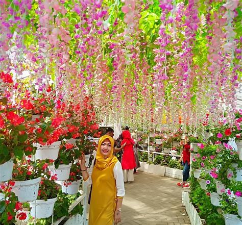 Taman bunga yang terletak di sukasari kaduhejo pandeglang ini dapat menjadi salah satu pilihan wisata di akhir pekan. Taman Bunga Di Pandeglang - Wow! 4 Taman Bunga Ini Punya ...