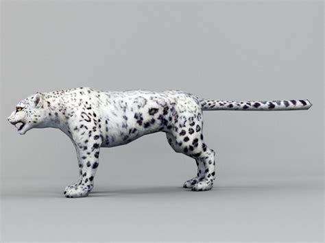 White Snow Leopard 3d Model 3ds Max Files Free Download Modeling