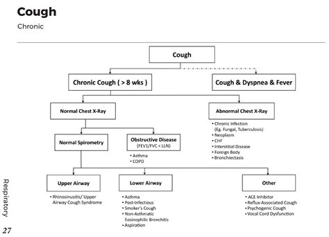 Causes Of Chronic Cough Differential Diagnosis Algorithm Abnormal