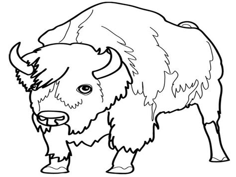 Free Grassland Animals Coloring Pages Download Free Grassland Animals