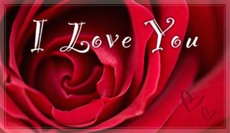 I Love You Ecard Free Love Greeting Cards Online