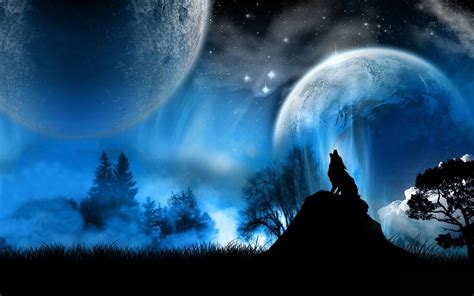 Hq Wallpapers 3d Wolf Photos