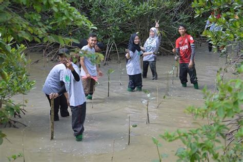 Program Penanaman Pokok Bakau Dan Pemulihan Alam Sekitar