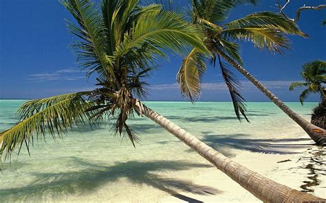 Punta Cana Dr Lagoon Beach Coral Island Hd Wallpaper Peakpx