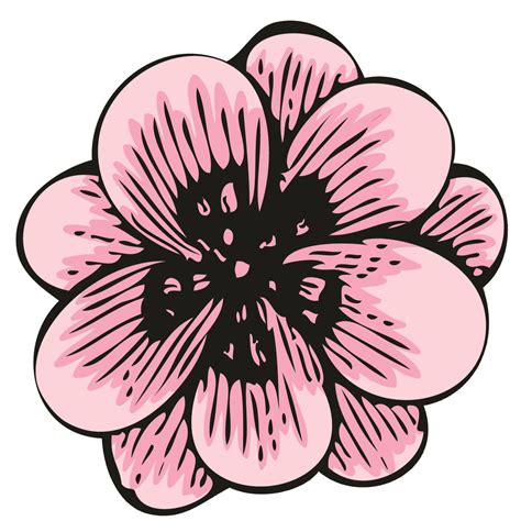 Pretty Pink Flower Cartoon Drawing 4 Vinyl Decal Sticker Shinobi