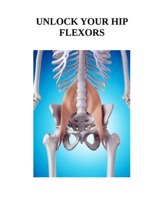 Learn about the iliopsoas muscle (hip flexor) and the anatomy involved in its movement in 3d. Diagram Of Hip Muscles And Ligaments | How To Unlock Your ...