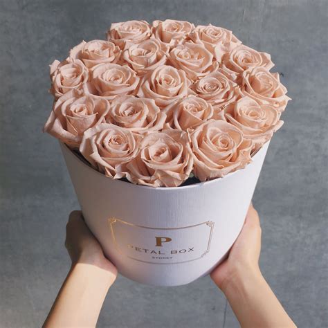 A Petal Box Full Of Nude Pink Toffee Colour Roses That Last A Year