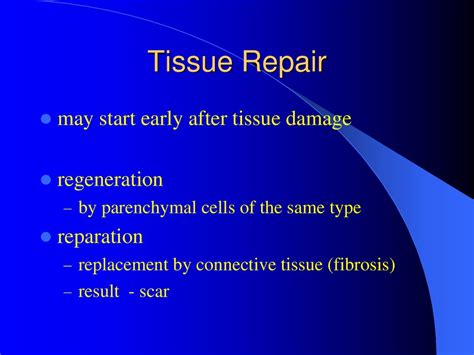Tissue Repair Regeneration And Reparation Online Presentation