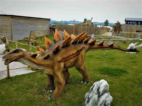 Our Dinosaurs Animal Experiences At Wingham Wildlife Park In Kent