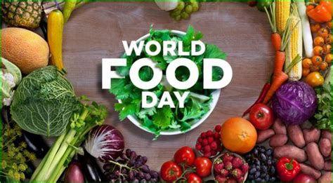 World food day is celebrated on 16th october every year. World Food Day first celebrated in 1980, take this oath ...