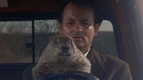 bill-murray-in-groundhog-day,-groundhog-day,-groundhog-day,-groundhog-day,-groundhog-day
