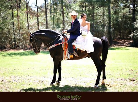 Bride And Groom On Their Horse Horses Wedding Couple Photos Cowboy